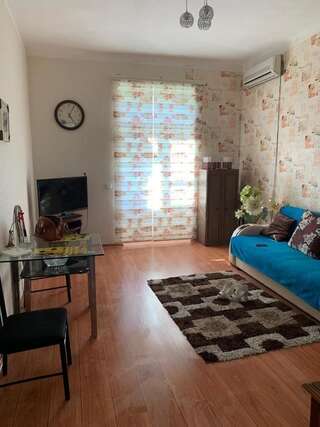 Апартаменты Apartment Niyazi 5 Баку Апартаменты-66